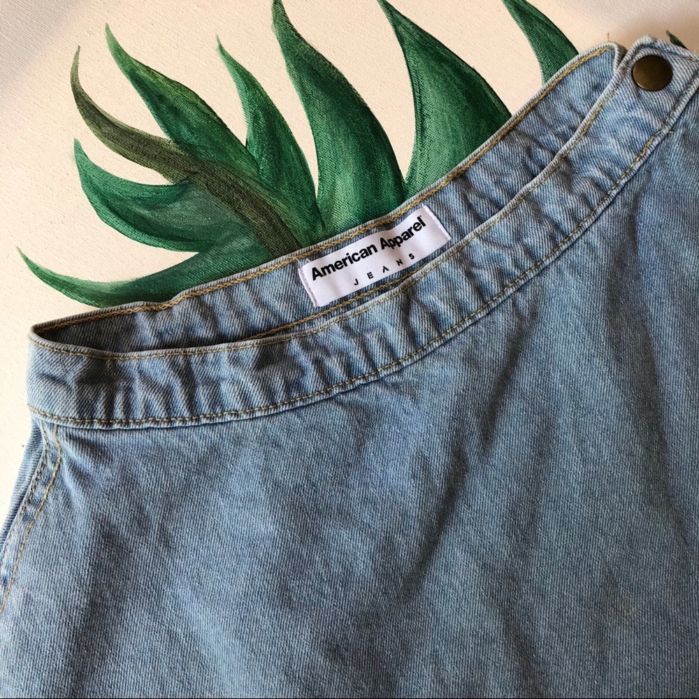 American Apparel Circle Skater Skirt